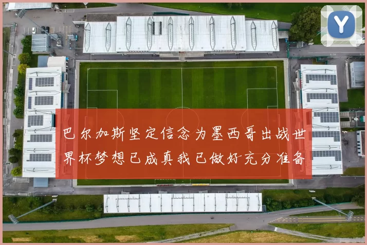 巴尔加斯坚定信念为墨西哥出战世界杯梦想已成真我已做好充分准备